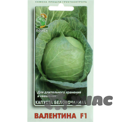 Капуста Валентина Поиск Ц
