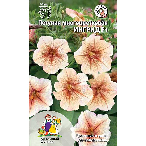 Петуния Ингрид Марс Ц 