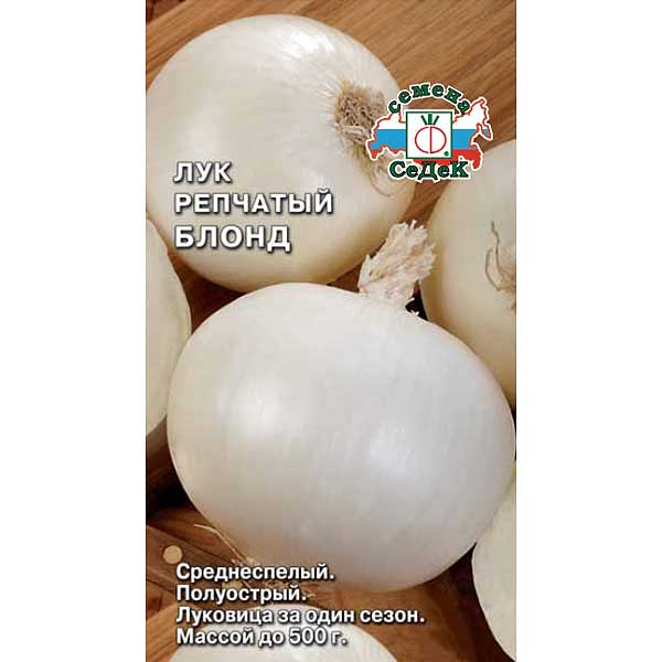 Лук Блонд Седек Б