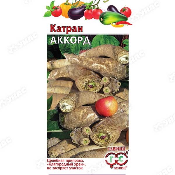 Катран Аккорд Гавриш Ц