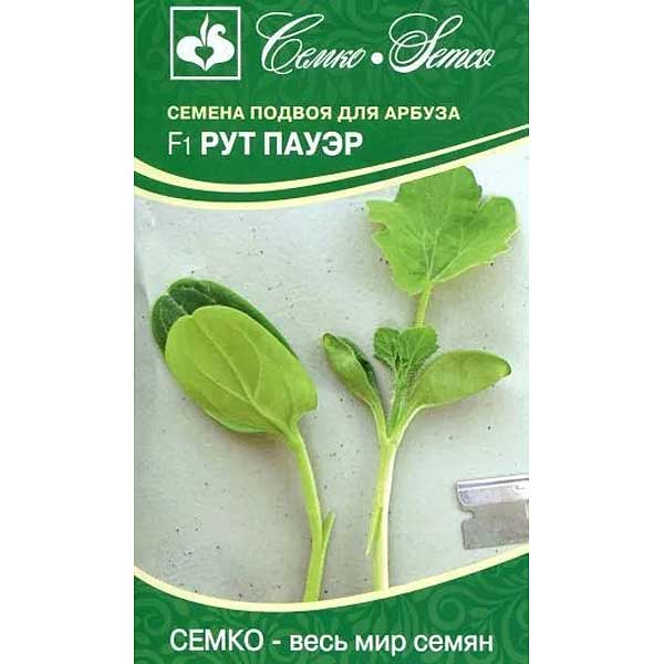 Купить Семена Подвоя Ферро