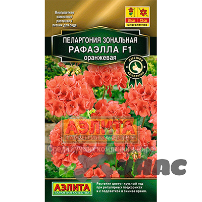 КОМ Пеларгония Рафаэлла оранжевая Аэлита Ц 