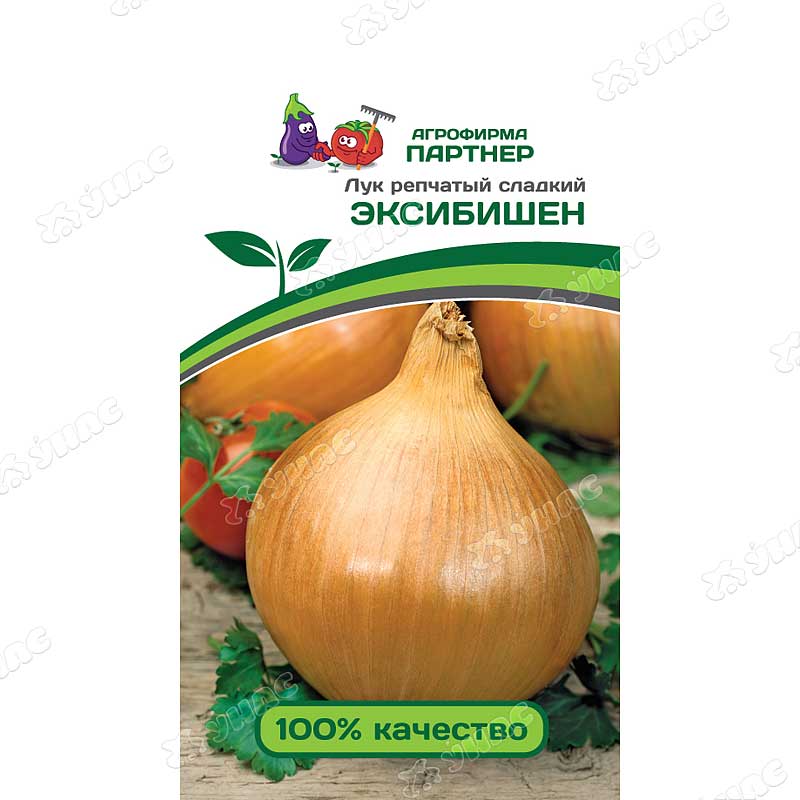 Лук Эксибишен Партнер Ц – купить семена оптом