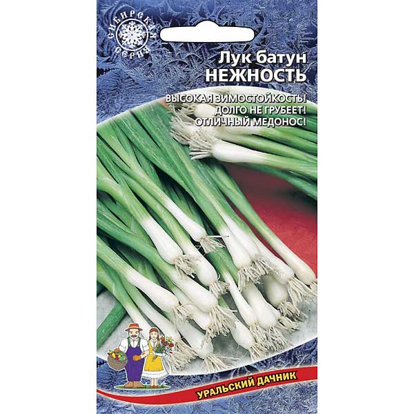 Лук батун Нежность Марс Ц