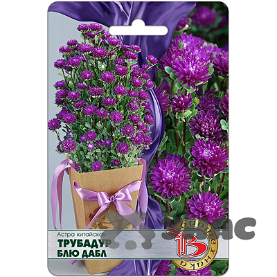 Астра Трубадур Блю Дабл Биотехника Ц 