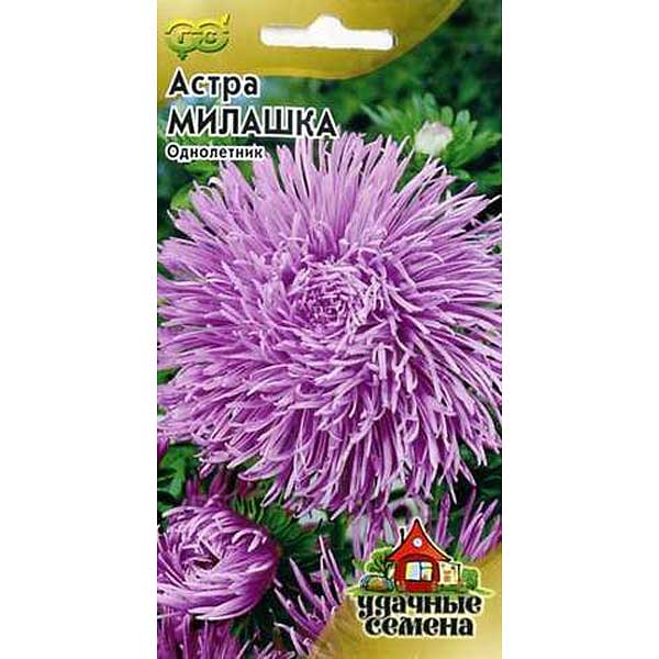 Астра Милашка Удачные Семена Гавриш Ц 