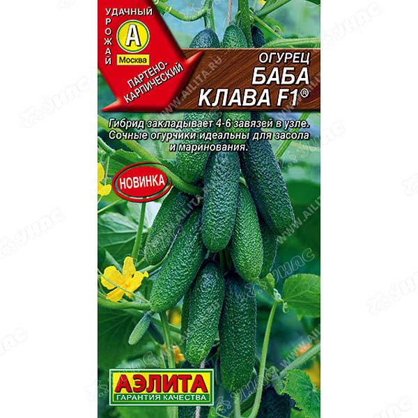 Огурец Баба Клава Аэлита Ц