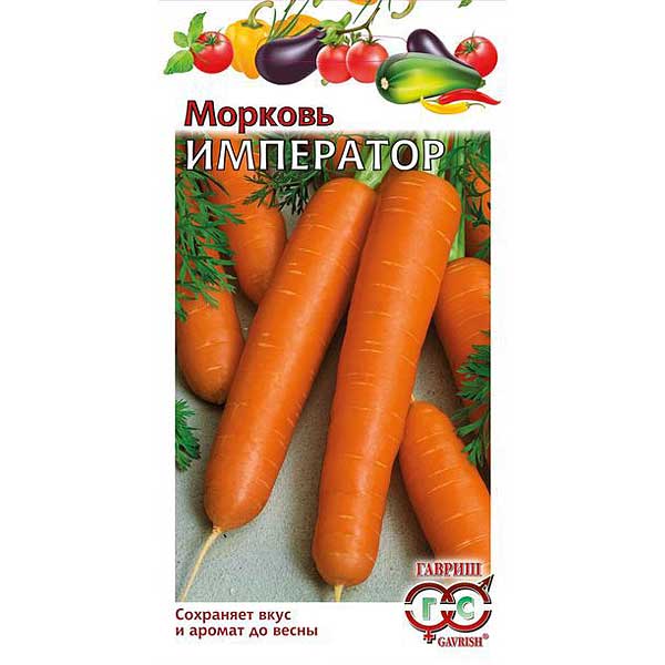 Морковь Император  Гавриш Ц