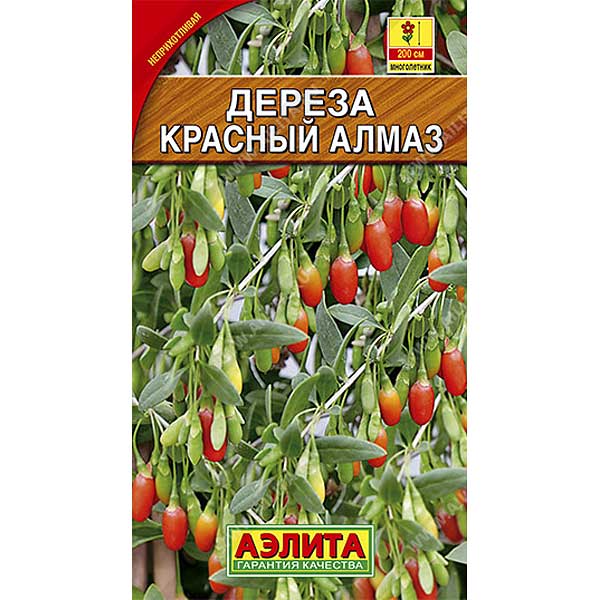 Дереза обыкновенная Красный алмаз Аэлита Ц – купить семена оптом от ...