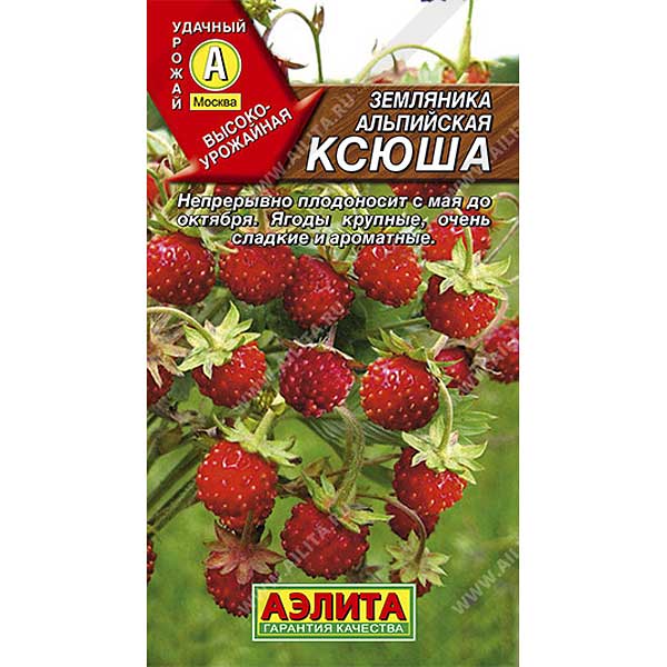 Земляника Ксюша Аэлита Ц