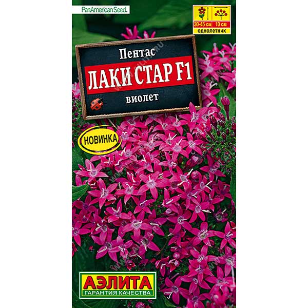 Пентас Лаки стар виолет Аэлита Ц 
