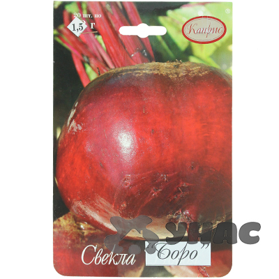 Свекла Боро (Нидерланды) Каприс