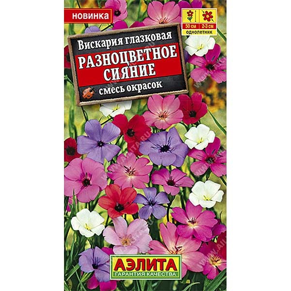 Вискария Разноцветное сияние Аэлита Ц 