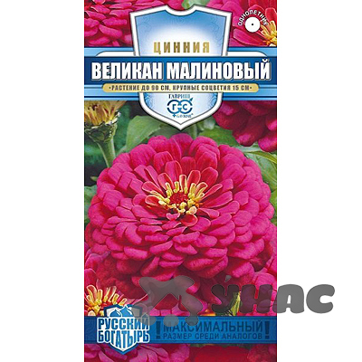 Циния Великан малиновый Гавриш Ц 