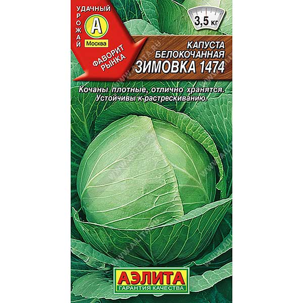 Капуста Зимовка Аэлита Ц