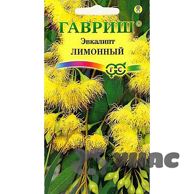 КОМ Эвкалипт лимонный Флагман Гавриш Ц 