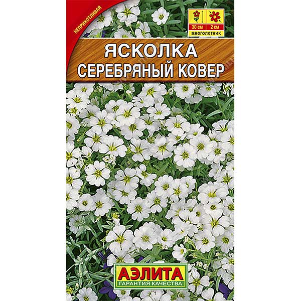 Ясколка Серебряный ковер Аэлита Ц 