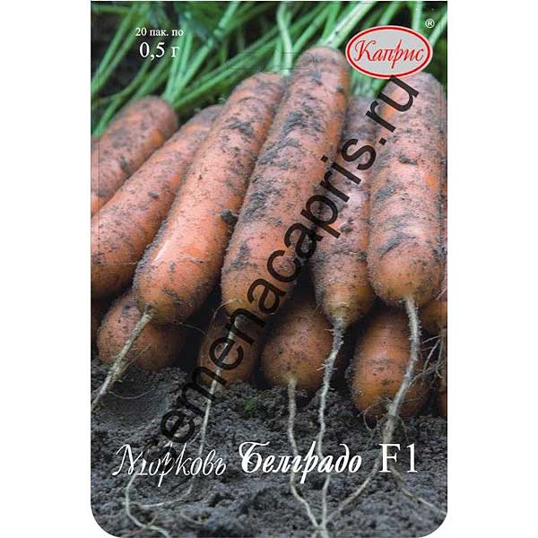 Морковь Белградо (Нидерланды) Каприс