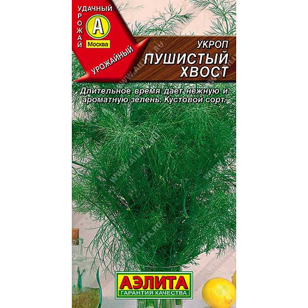 Укроп Пушистый хвост Аэлита Ц