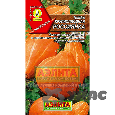 Тыква Россиянка Аэлита Ц