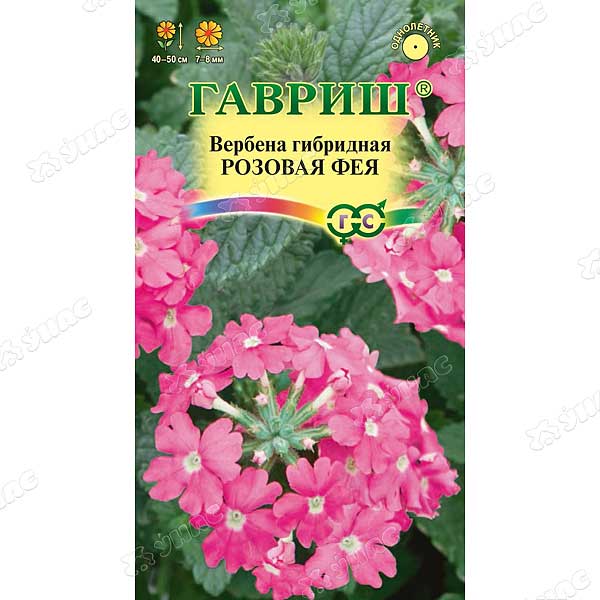 Вербена Розовая фея Гавриш Ц 