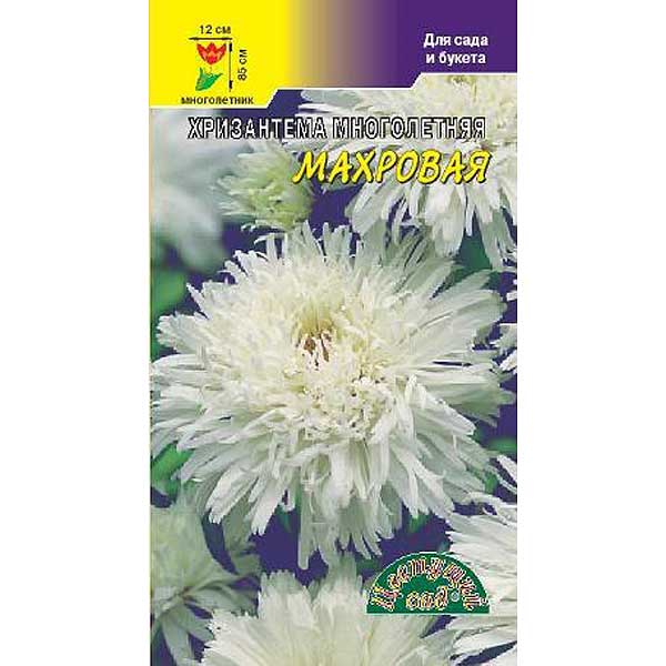 Хризантема Многолетняя махровая белая ЦветCад Ц – купить оптом от ...
