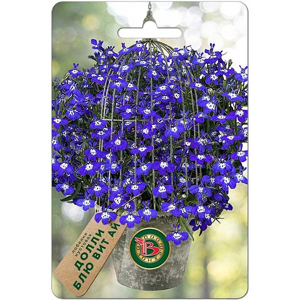 Лобелия Долли Блю вит Ай Биотехника Ц 