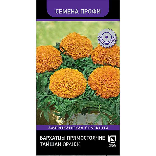 Бархатцы Тайшан Оранж Поиск Ц 