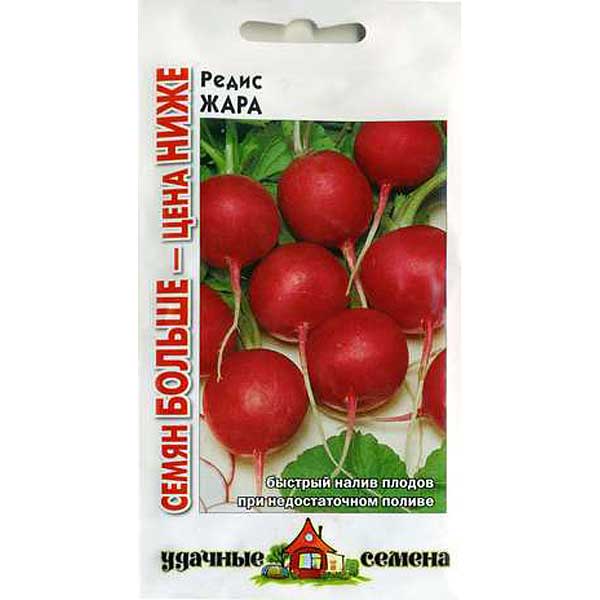 Редис Жара Удачные Семена Семян больше Гавриш Ц