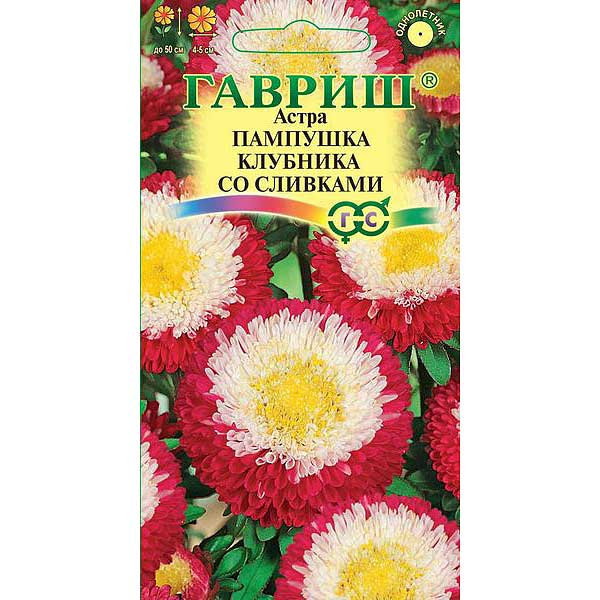 Астра Пампушка клубника со сливками Гавриш Ц 