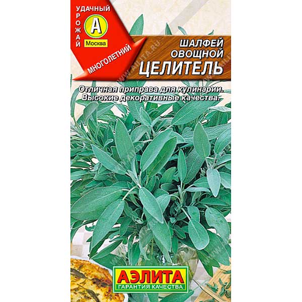 Шалфей Целитель овощн Аэлита Ц x10