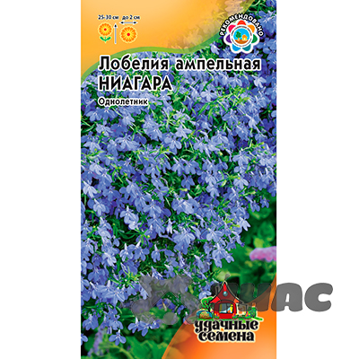 Лобелия Ниагара ампельная Удачные Семена Гавриш Ц 