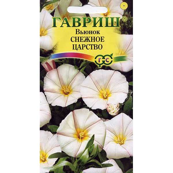 Вьюнок Снежное царство Гавриш Ц 