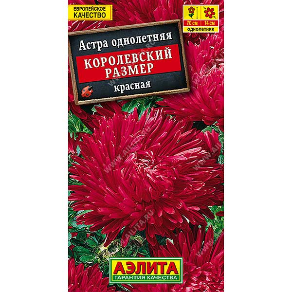Астра Королевский размер красная Аэлита Ц 
