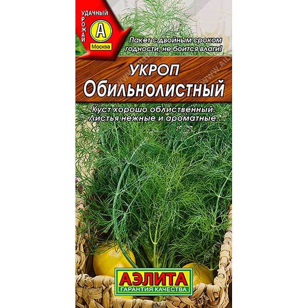 Укроп Обильнолиственный Аэлита Ц