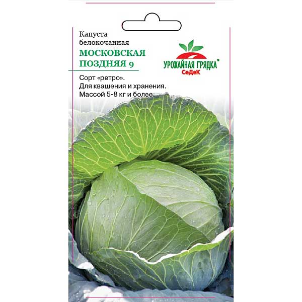 Капуста Московская поздняя Седек Ц