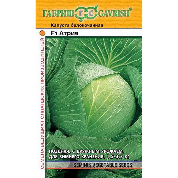 Капуста Атрия Гавриш Ц