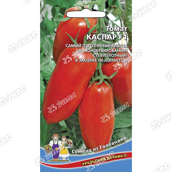 Семена Томат Каспар Марс