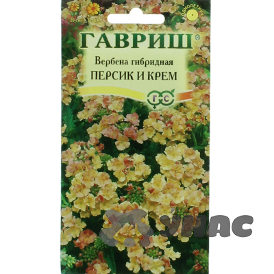 Вербена Персик и крем Гавриш Ц 