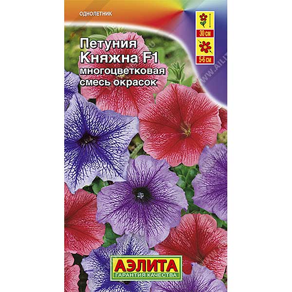 Петуния Княжна Аэлита Ц 