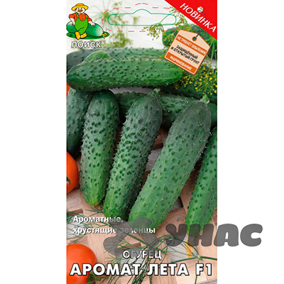 Огурец Аромат Лета Поиск Ц