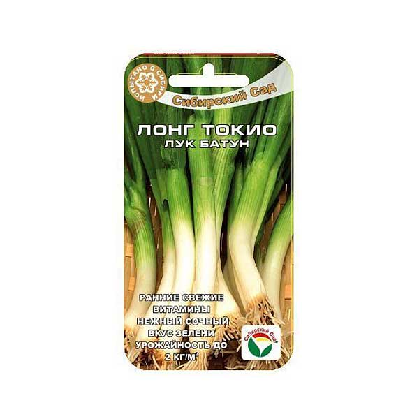 Лук батун Лонг Токио СибСад Ц