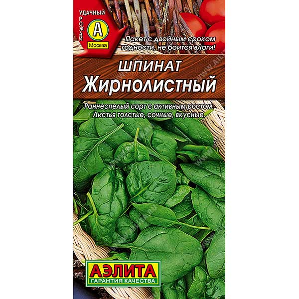 Шпинат Жирнолистный Аэлита Ц