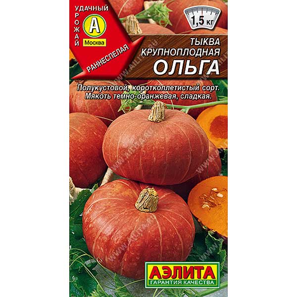 Тыква Ольга Аэлита Ц