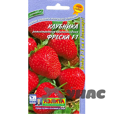 Земляника Фреска ремонтантная крупнопл  Аэлита Цx10