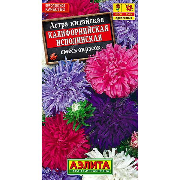 Астра Калифорнийская исполинская Аэлита Ц 