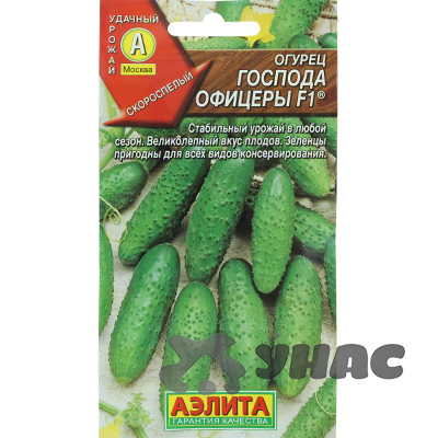 Огурец Господа Офицеры Аэлита Ц