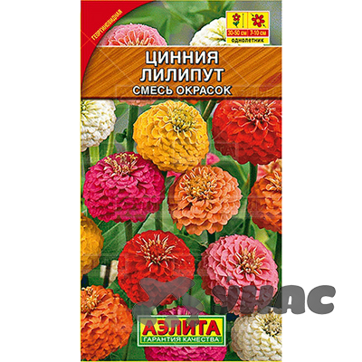 Циния Лилипут Аэлита Ц х10 