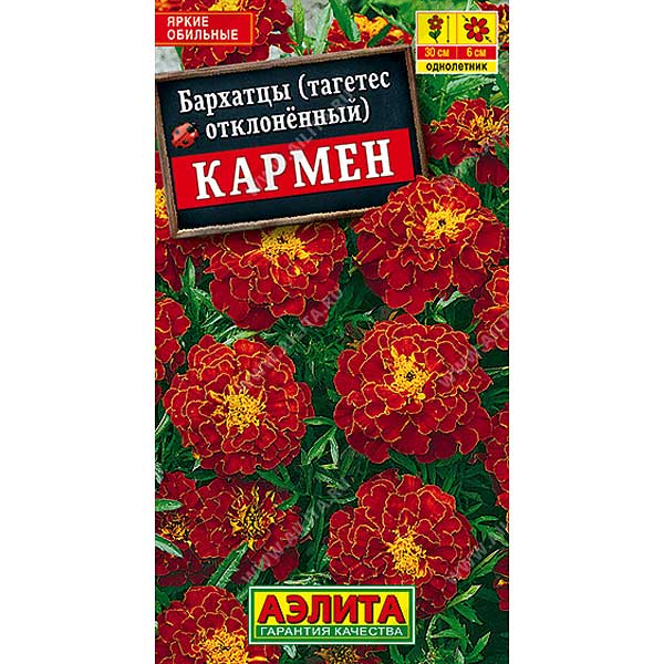 Бархатцы Кармен отклоненные Аэлита Ц 