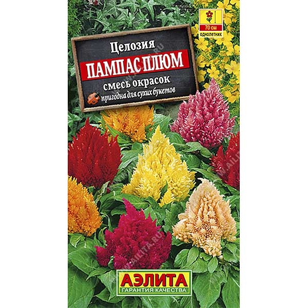 Целозия Перистая Пампас Плюм смесь  Аэлита Ц 